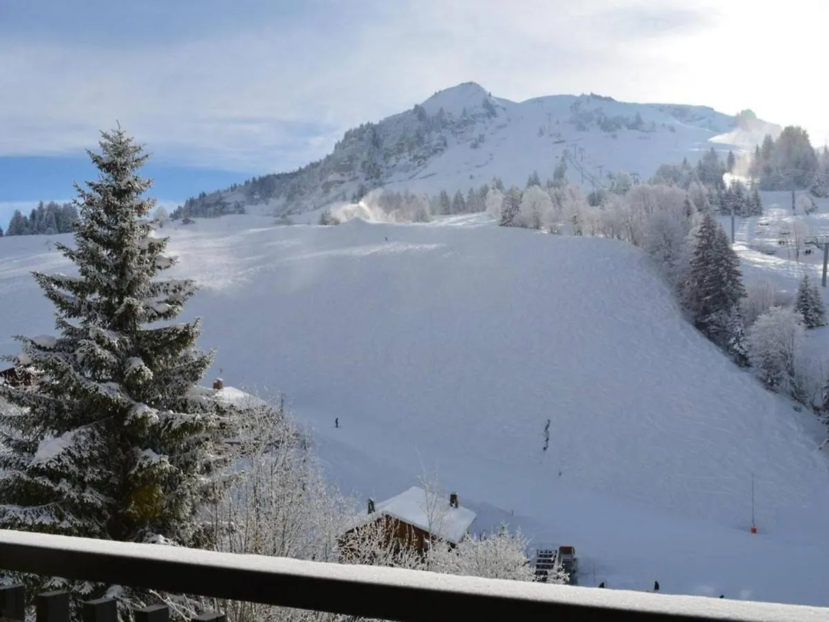 Lägenhet Studio Confortable Avec Balcon Pres Des Pistes - Fr-1-241-116 Le Grand-Bornand