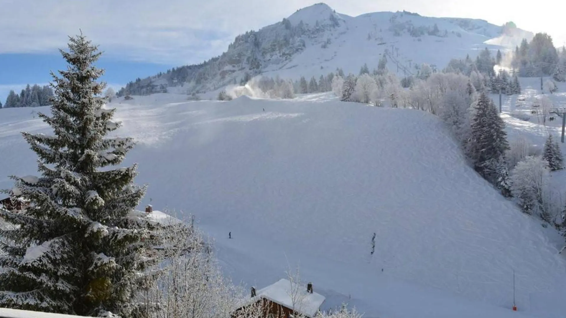 Studio Confortable Avec Balcon Pres Des Pistes - Fr-1-241-116 Le Grand-Bornand